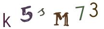 Image CAPTCHA